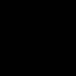 Meet your Posher, Kiara